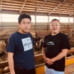 通販でお取り寄せできるジンギスカンおすすめレシピ22選